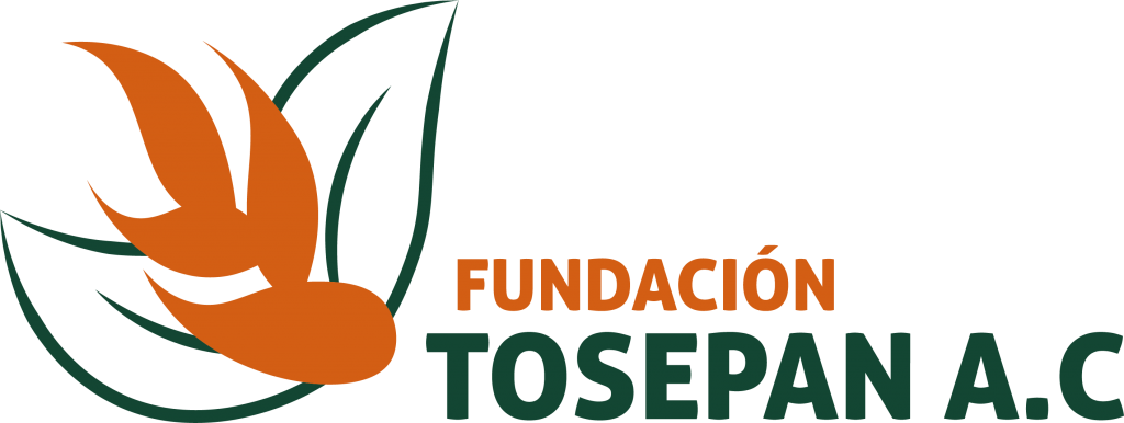 Fundación